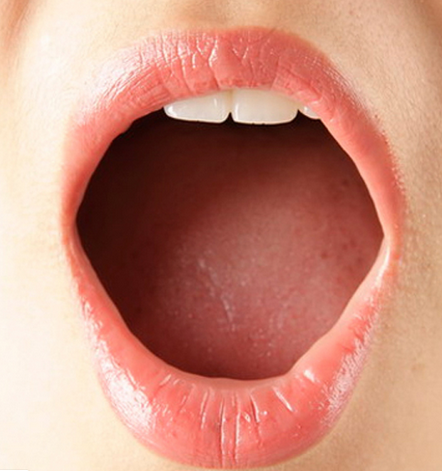 Jelaskan Fungsi Mulut  Penyebab dan Cara Menghilangkan Bau 
