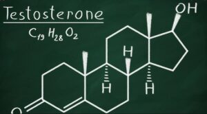 Struktur Kimia Testosteron